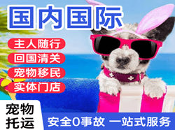 湛江航空快运国际宠物托运 【国